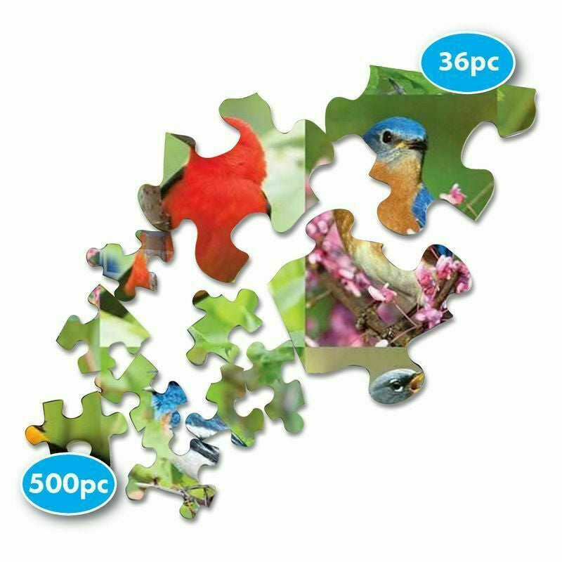 36 Piece Cognative - Birds of a Feather Jigsaw Puzzle - by Springbok