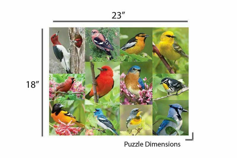 36 Piece Cognative - Birds of a Feather Jigsaw Puzzle - by Springbok